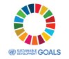 "SDG Logo"
